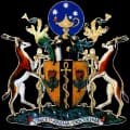 Colleges of Medicine of South Africa